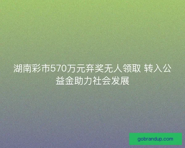 湖南彩市570万元弃奖无人领取 转入公益金助力社会发展