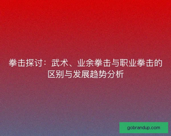 拳击探讨：武术、业余拳击与职业拳击的区别与发展趋势分析
